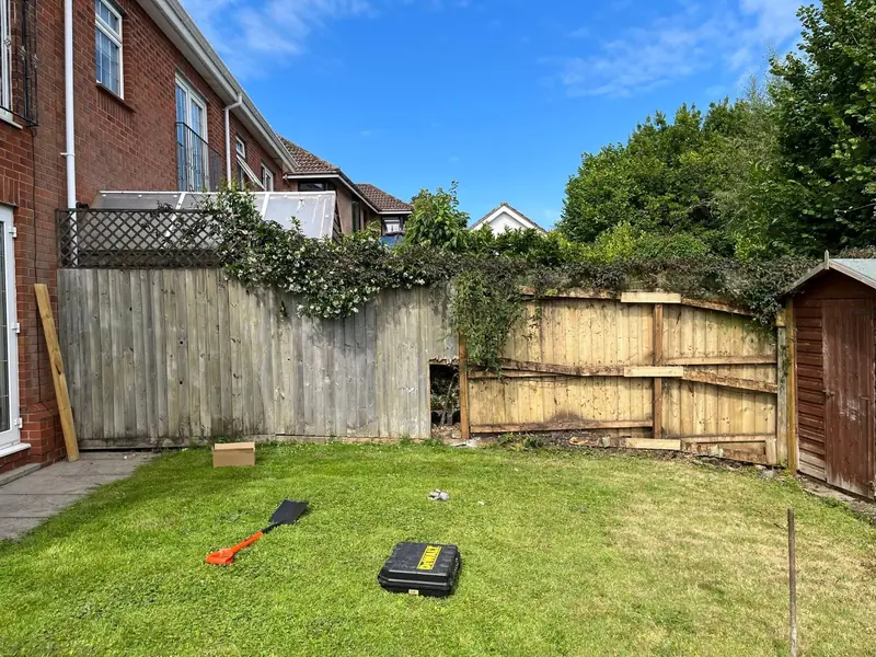 Before: an old garden fence with grey, broken and patched sections and ivy growing through